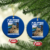 Funny Hamster Gamer Ceramic Ornament In My Defense I Was Left Unsupervised - Wonder Print Shop