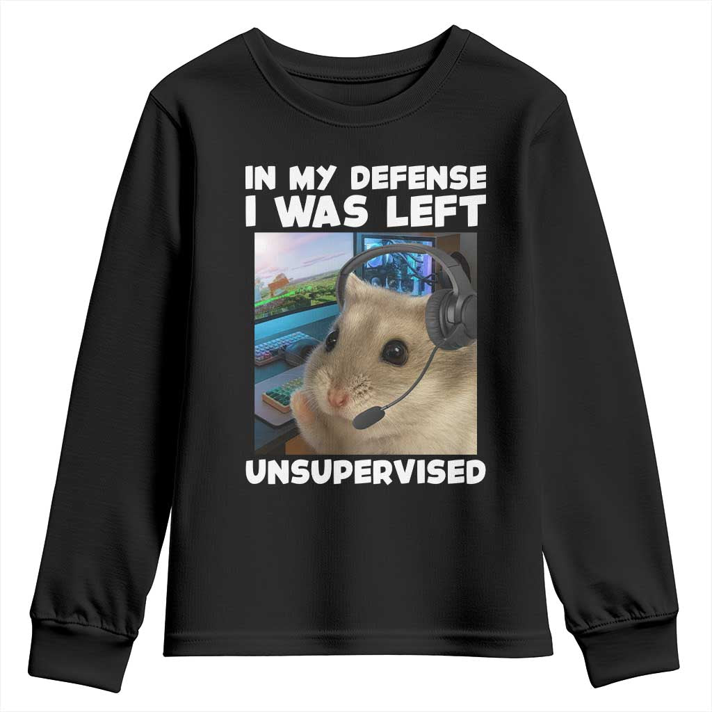 Funny Hamster Gamer Youth Sweatshirt In My Defense I Was Left Unsupervised - Wonder Print Shop