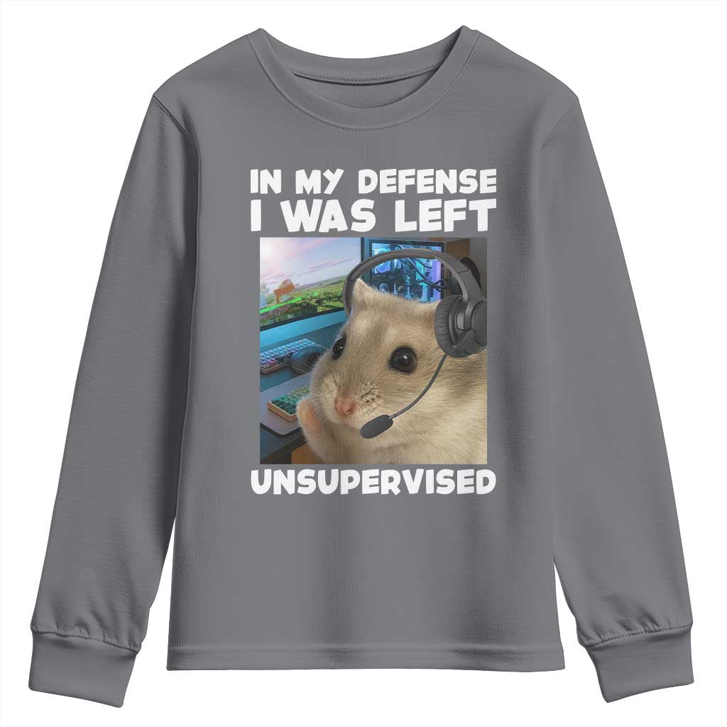Funny Hamster Gamer Youth Sweatshirt In My Defense I Was Left Unsupervised - Wonder Print Shop