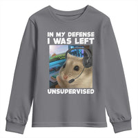 Funny Hamster Gamer Youth Sweatshirt In My Defense I Was Left Unsupervised - Wonder Print Shop
