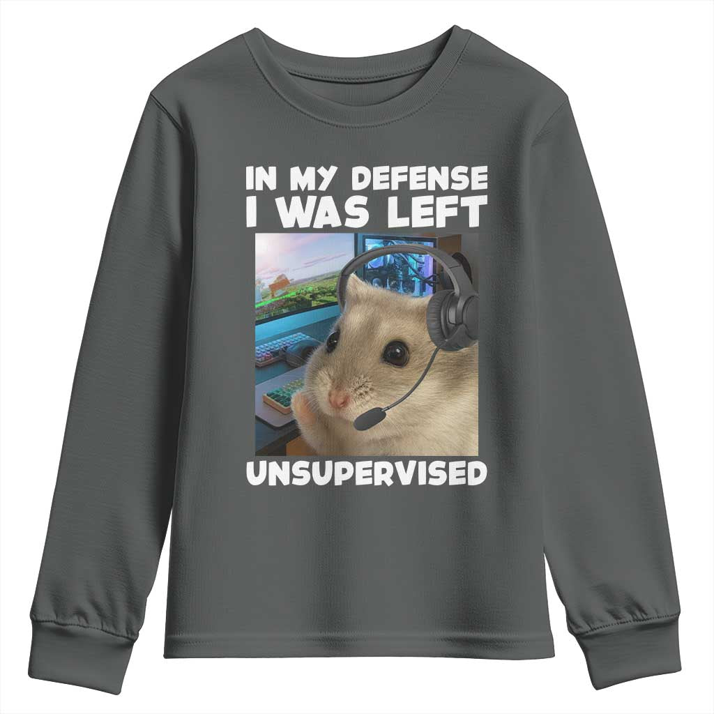 Funny Hamster Gamer Youth Sweatshirt In My Defense I Was Left Unsupervised - Wonder Print Shop