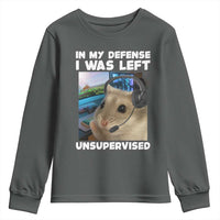 Funny Hamster Gamer Youth Sweatshirt In My Defense I Was Left Unsupervised - Wonder Print Shop