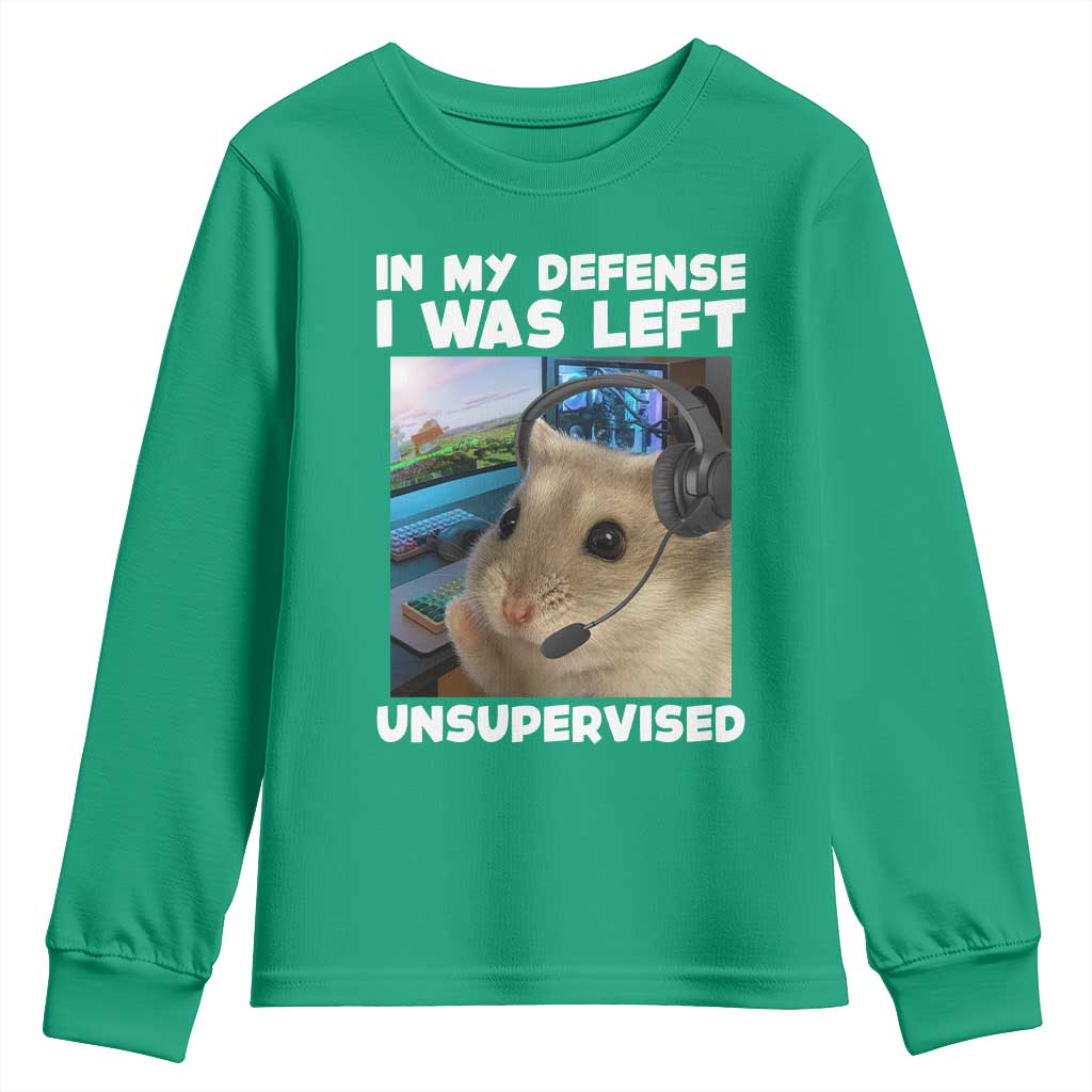 Funny Hamster Gamer Youth Sweatshirt In My Defense I Was Left Unsupervised - Wonder Print Shop