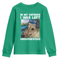 Funny Hamster Gamer Youth Sweatshirt In My Defense I Was Left Unsupervised - Wonder Print Shop