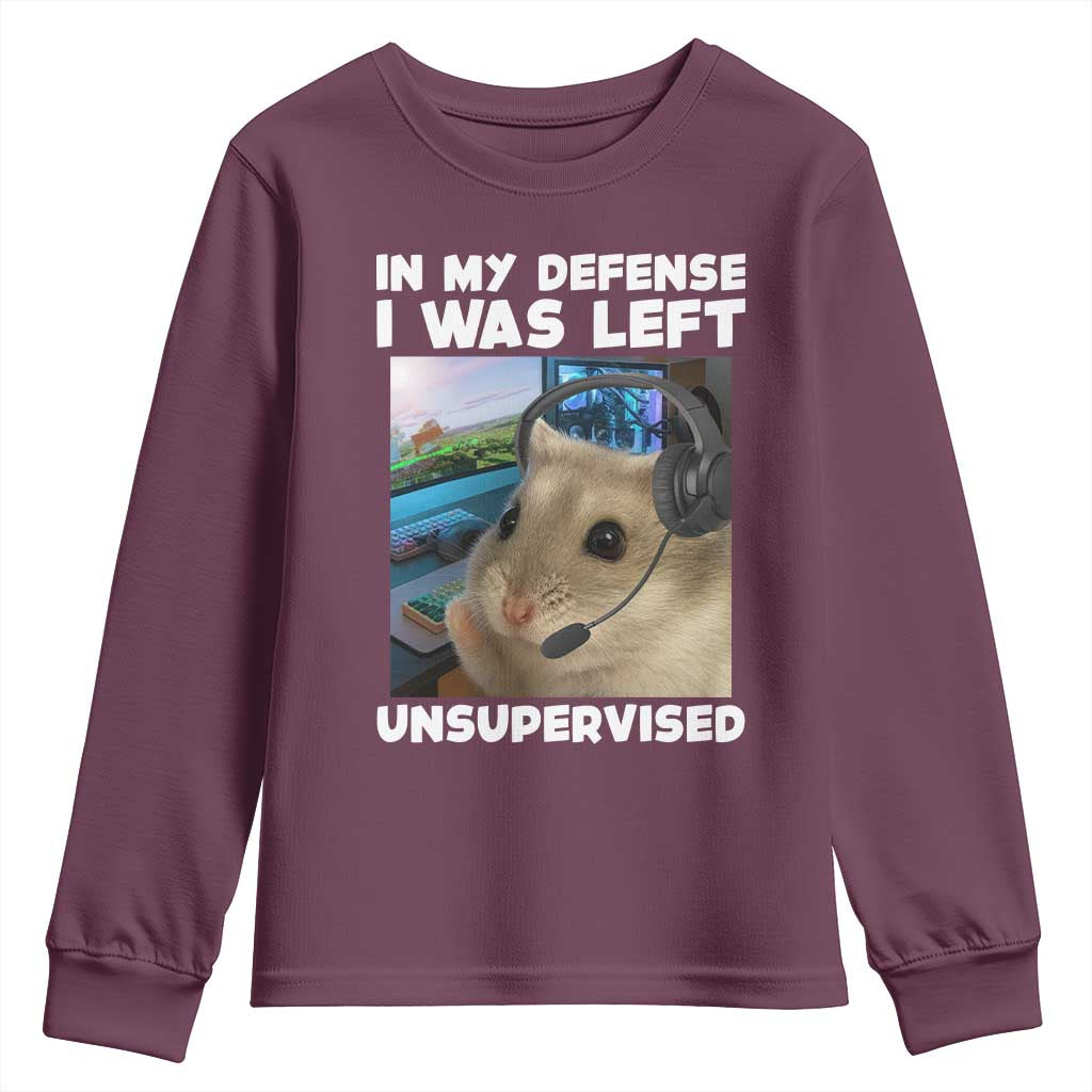 Funny Hamster Gamer Youth Sweatshirt In My Defense I Was Left Unsupervised - Wonder Print Shop