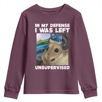 Funny Hamster Gamer Youth Sweatshirt In My Defense I Was Left Unsupervised - Wonder Print Shop