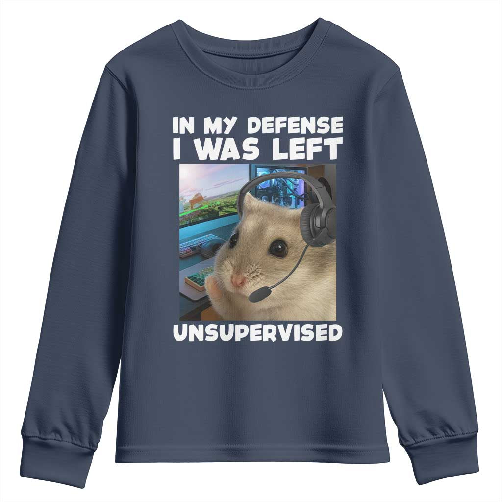 Funny Hamster Gamer Youth Sweatshirt In My Defense I Was Left Unsupervised - Wonder Print Shop