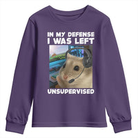 Funny Hamster Gamer Youth Sweatshirt In My Defense I Was Left Unsupervised - Wonder Print Shop