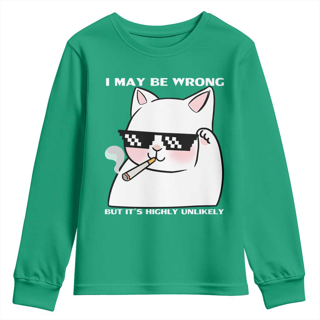 Funny Cat Humor Youth Sweatshirt I May Be Wrong But It Is Highly Unlikely - Wonder Print Shop