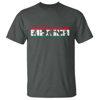 Mexico Soccer Lover T Shirt World Football Fan Gift