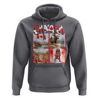 Proud Canada National Soccer Fan 2026 Gift Hoodie