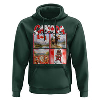 Proud Canada National Soccer Fan 2026 Gift Hoodie