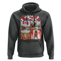 Proud Canada National Soccer Fan 2026 Gift Hoodie