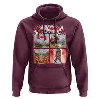 Proud Canada National Soccer Fan 2026 Gift Hoodie
