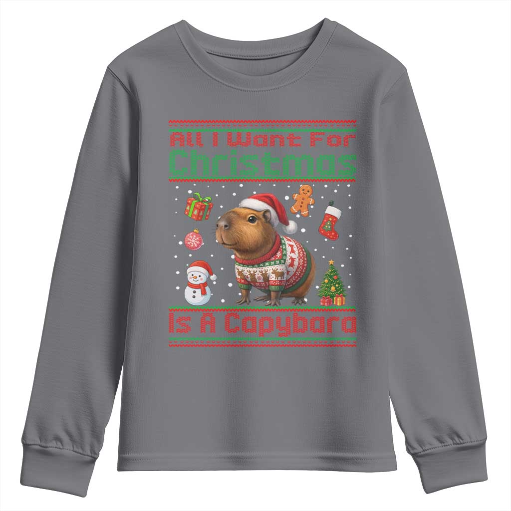 Funny Xmas Youth Sweatshirt All I Want For Christmas Is A Capybara - Wonder Print Shop