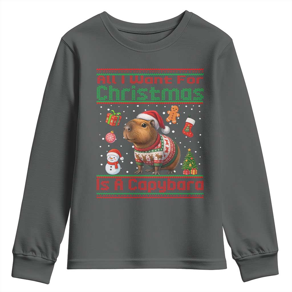 Funny Xmas Youth Sweatshirt All I Want For Christmas Is A Capybara - Wonder Print Shop
