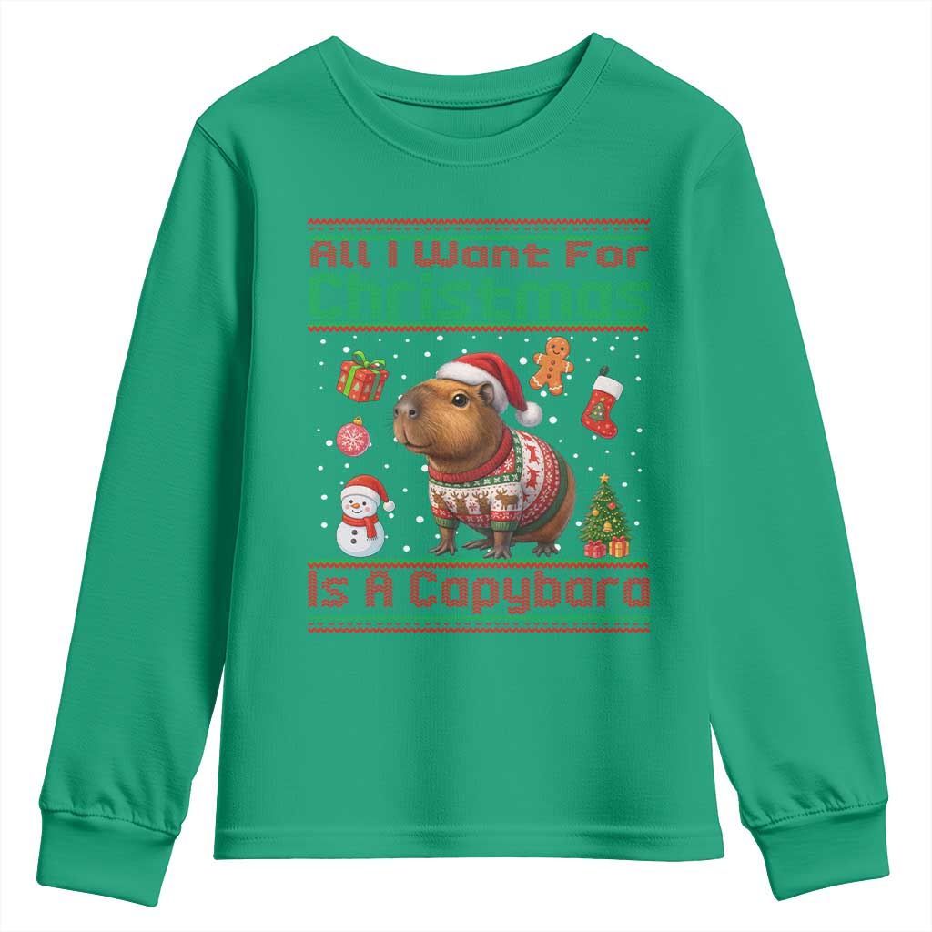Funny Xmas Youth Sweatshirt All I Want For Christmas Is A Capybara - Wonder Print Shop