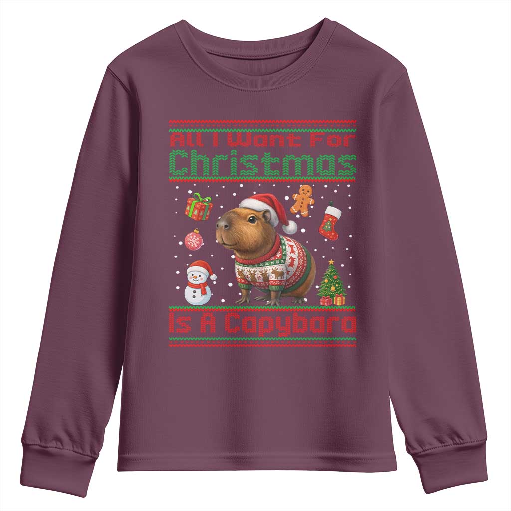 Funny Xmas Youth Sweatshirt All I Want For Christmas Is A Capybara - Wonder Print Shop