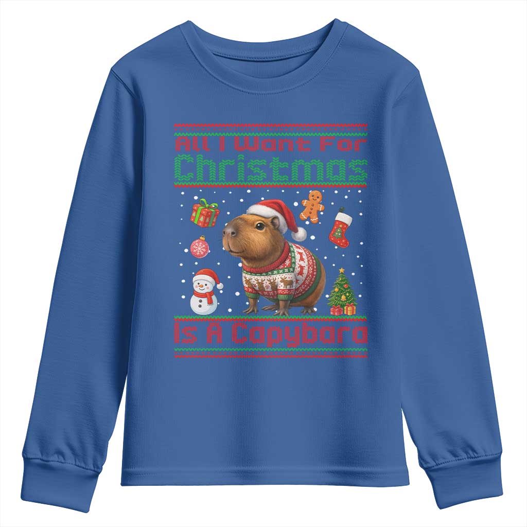 Funny Xmas Youth Sweatshirt All I Want For Christmas Is A Capybara - Wonder Print Shop