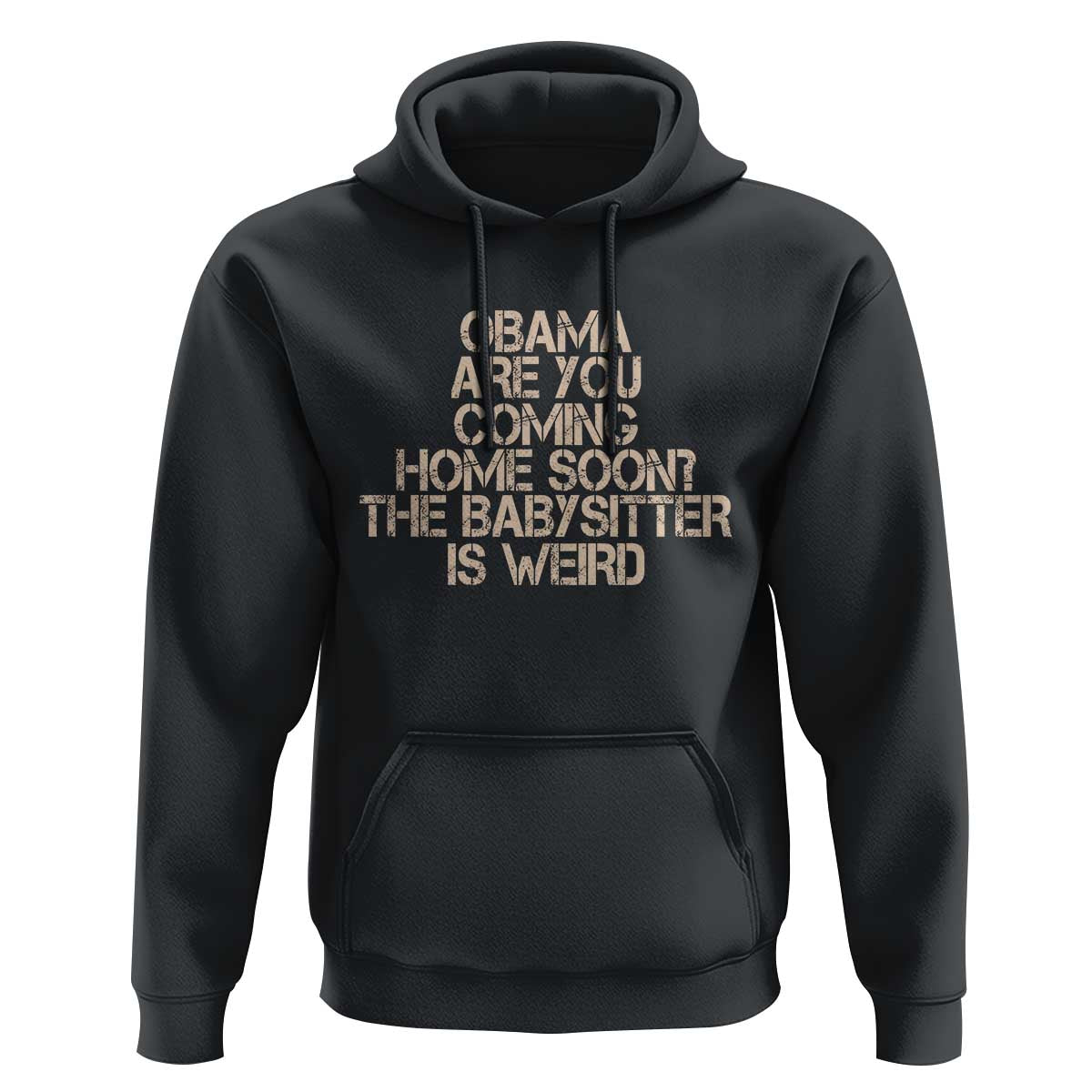 Funny Obama Joke Hoodie The Babysitter Is Weird Political Humor