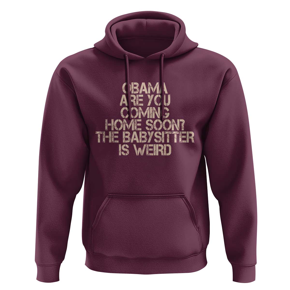 Funny Obama Joke Hoodie The Babysitter Is Weird Political Humor