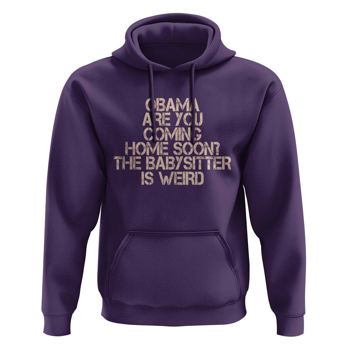 Funny Obama Joke Hoodie The Babysitter Is Weird Political Humor