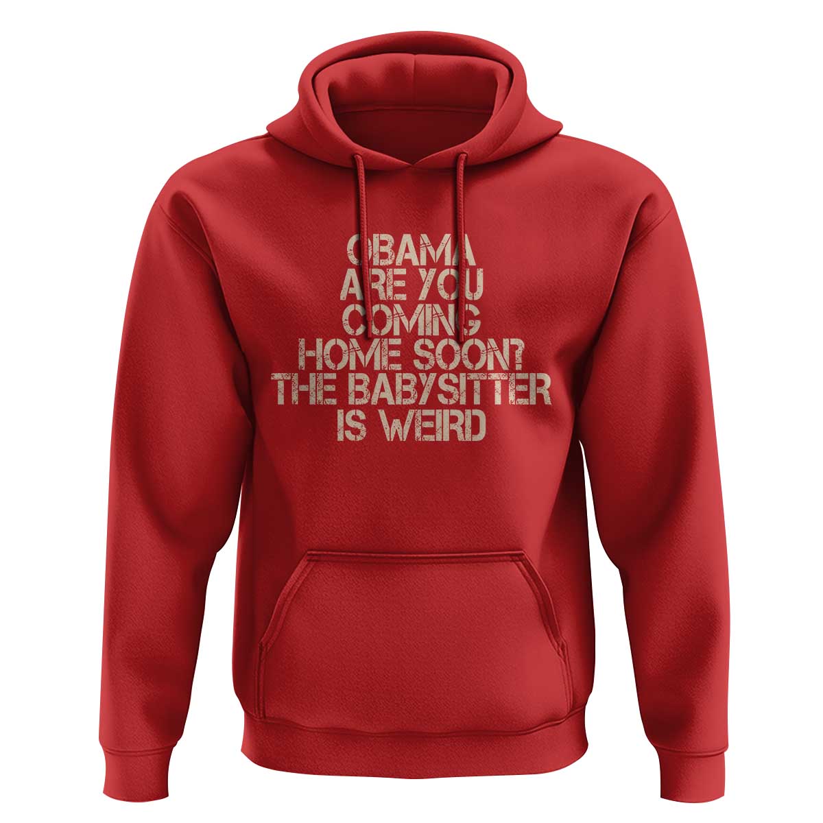 Funny Obama Joke Hoodie The Babysitter Is Weird Political Humor