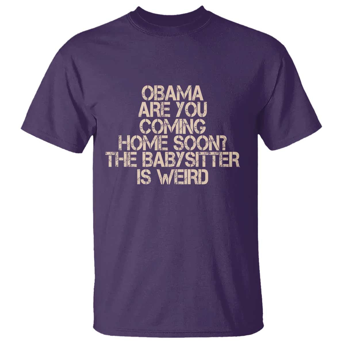 Funny Obama Joke T Shirt The Babysitter Is Weird Political Humor