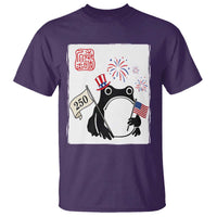 Funny Patriotic Grumpy Frog 250th Anniversary USA T Shirt