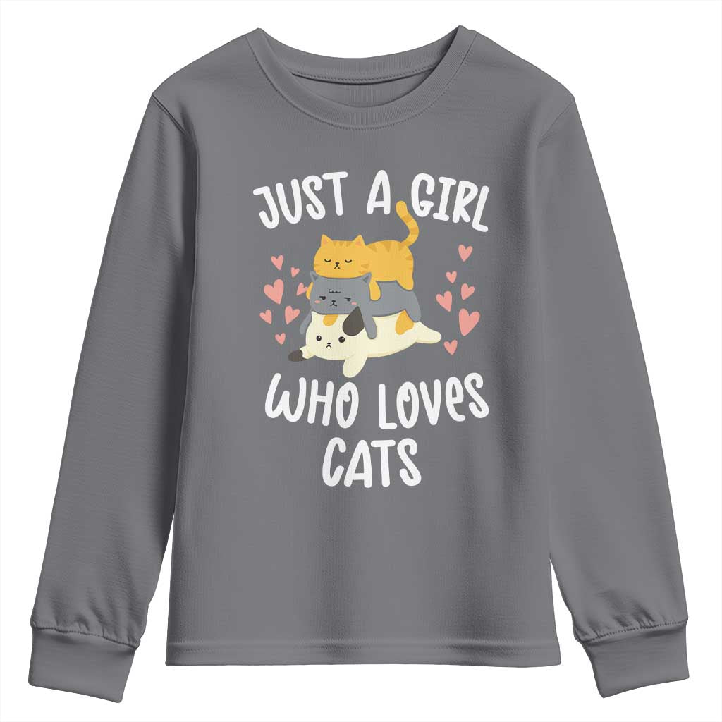 Just A Girl Who Loves Cats Youth Sweatshirt Cute Kittens Pet Lover - Wonder Print Shop