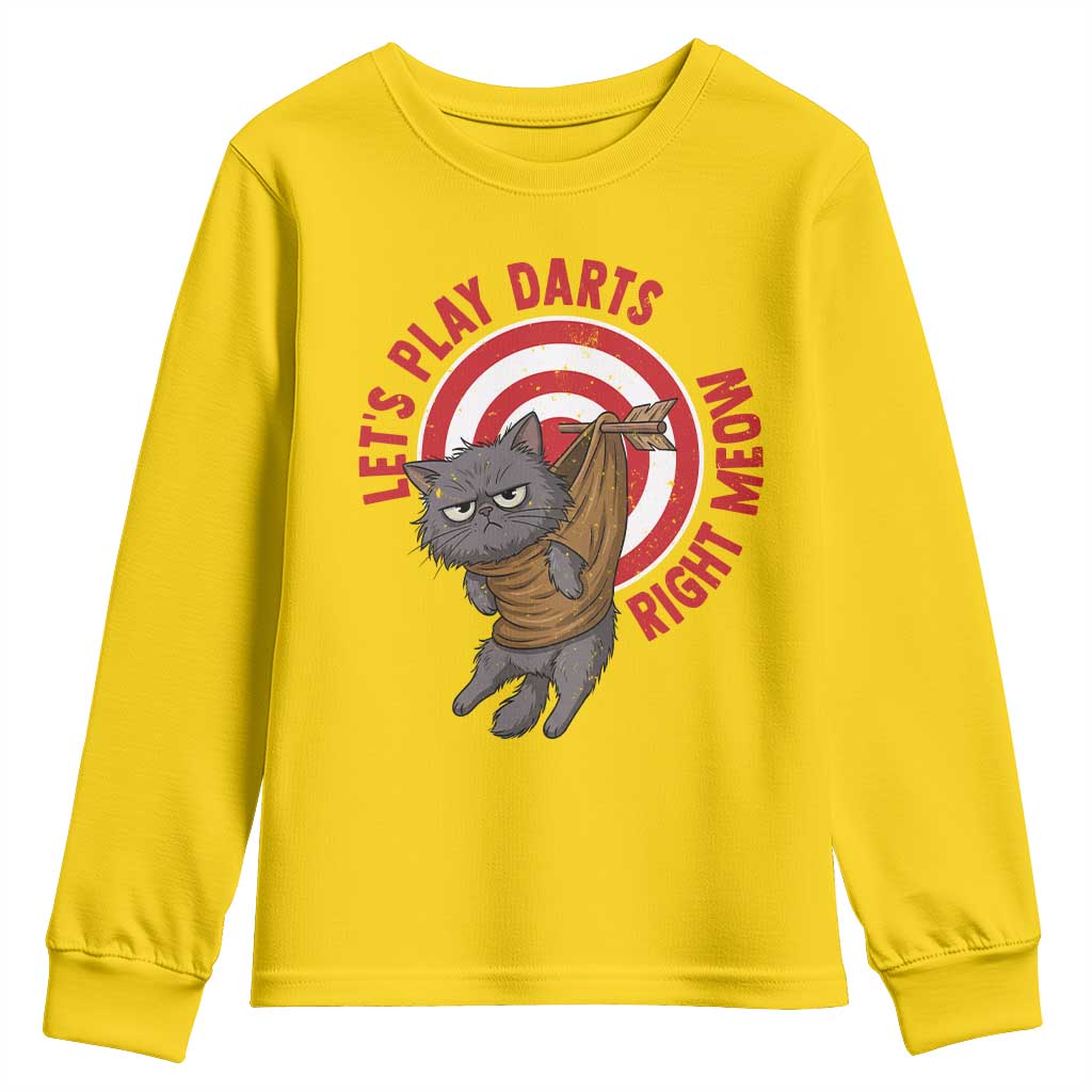 Funny Cat Darts Lover Youth Sweatshirt Lets Play Darts Right Meow - Wonder Print Shop