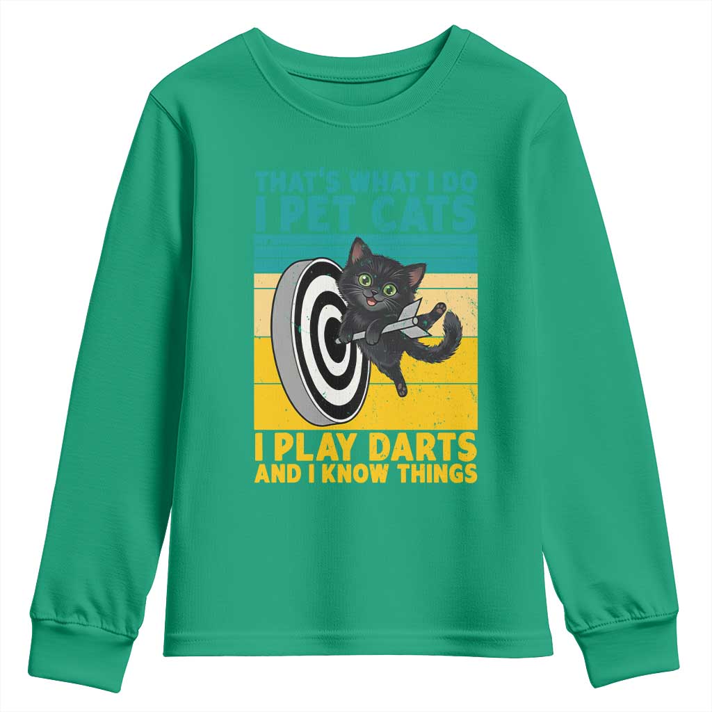 Funny Retro Sunset Cat Darts Youth Sweatshirt I Pet Cats I Play Darts And I Know Things - Wonder Print Shop