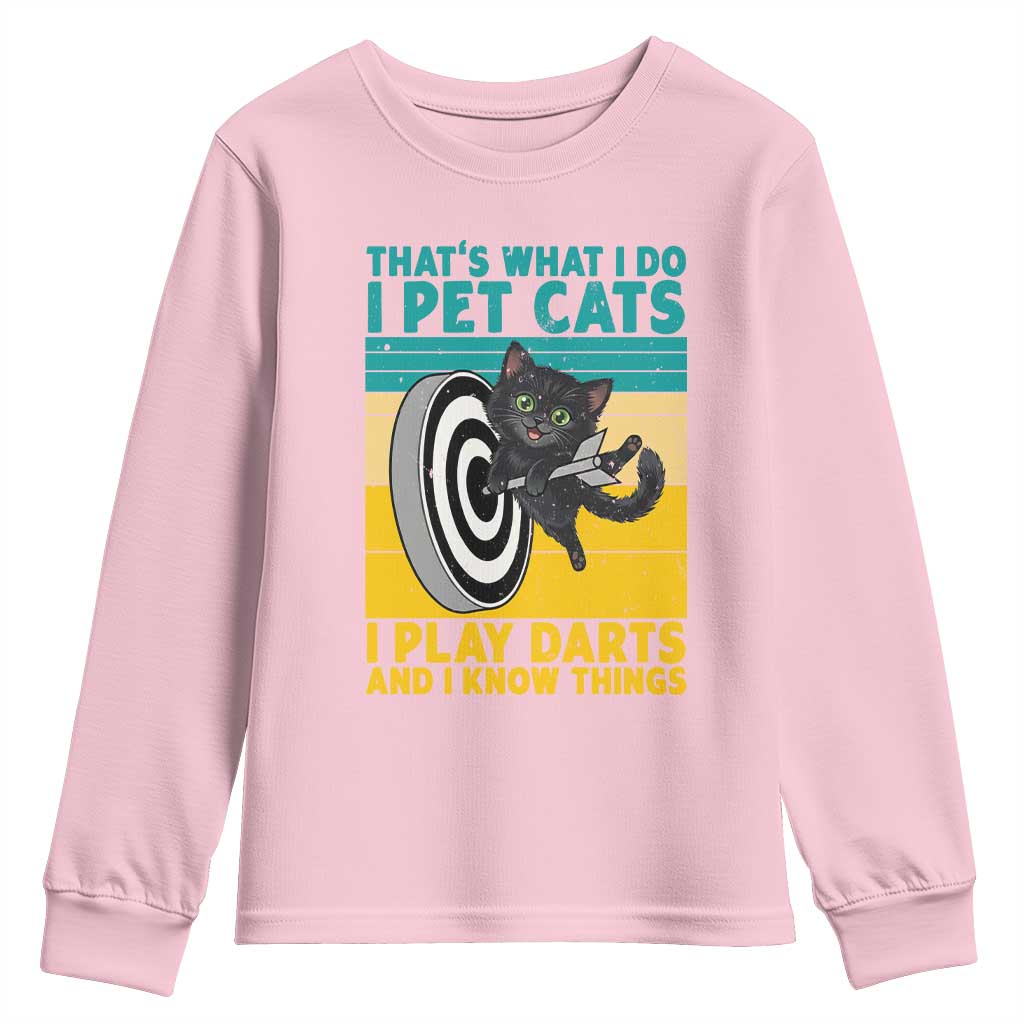 Funny Retro Sunset Cat Darts Youth Sweatshirt I Pet Cats I Play Darts And I Know Things - Wonder Print Shop