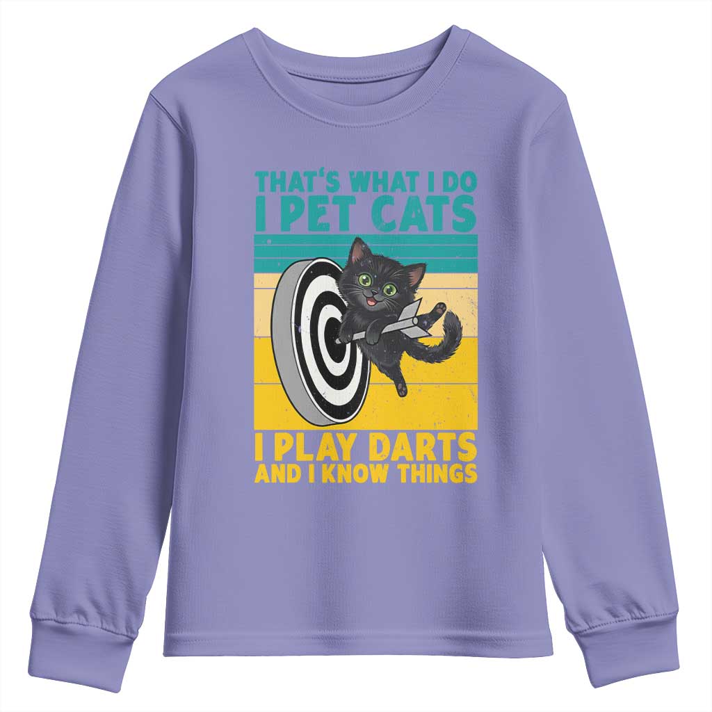 Funny Retro Sunset Cat Darts Youth Sweatshirt I Pet Cats I Play Darts And I Know Things - Wonder Print Shop
