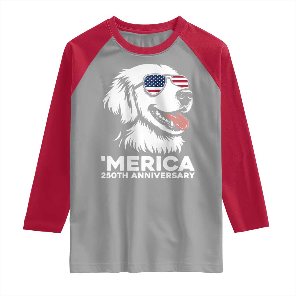 Merica Golden Retriever Lover Raglan Shirt 250th Anniversary Gift