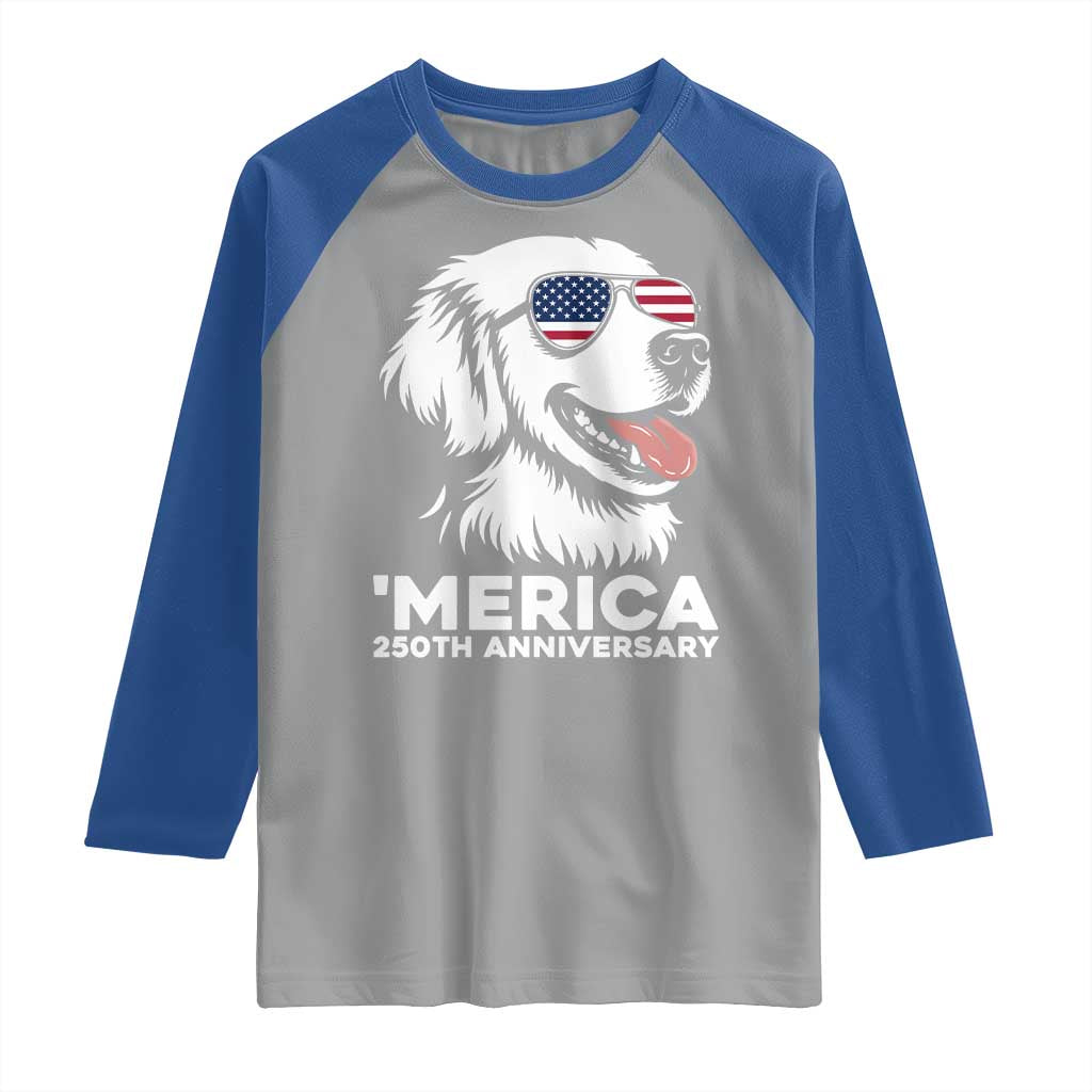 Merica Golden Retriever Lover Raglan Shirt 250th Anniversary Gift