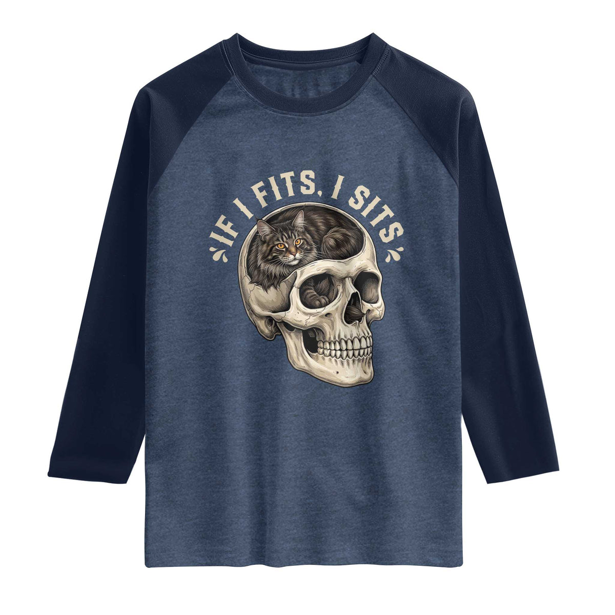 Funny Gothic Black Cat Skull Raglan Shirt If I Fits I Sits