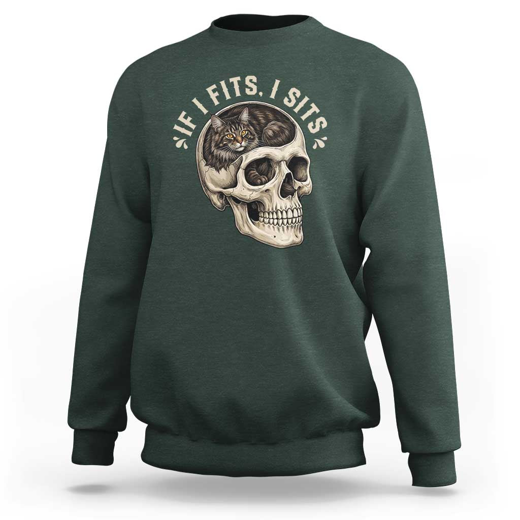 Funny Gothic Black Cat Skull Sweatshirt If I Fits I Sits