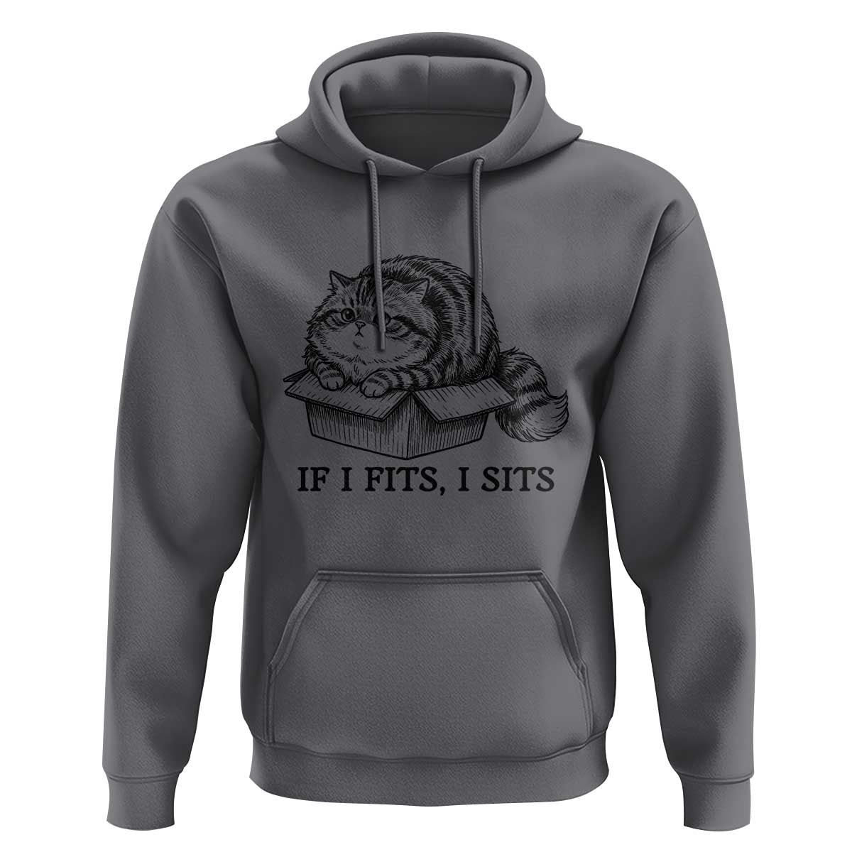 If I Fits I Sits Hoodie Chubby Kitty Funny Cat Lover Gift