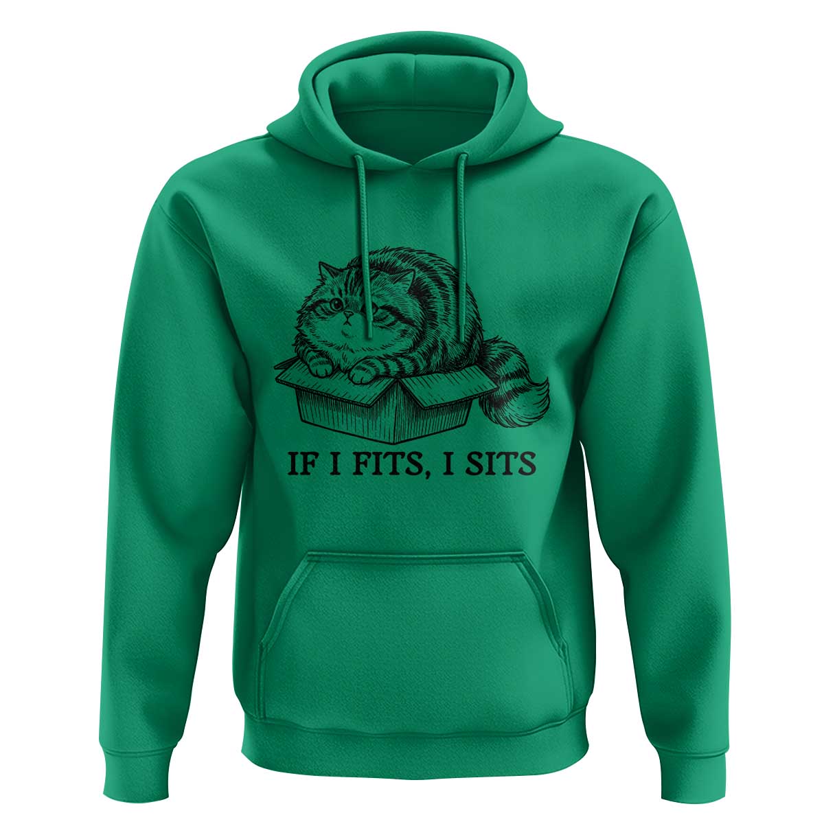 If I Fits I Sits Hoodie Chubby Kitty Funny Cat Lover Gift