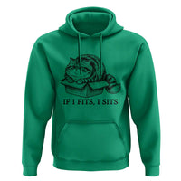 If I Fits I Sits Hoodie Chubby Kitty Funny Cat Lover Gift