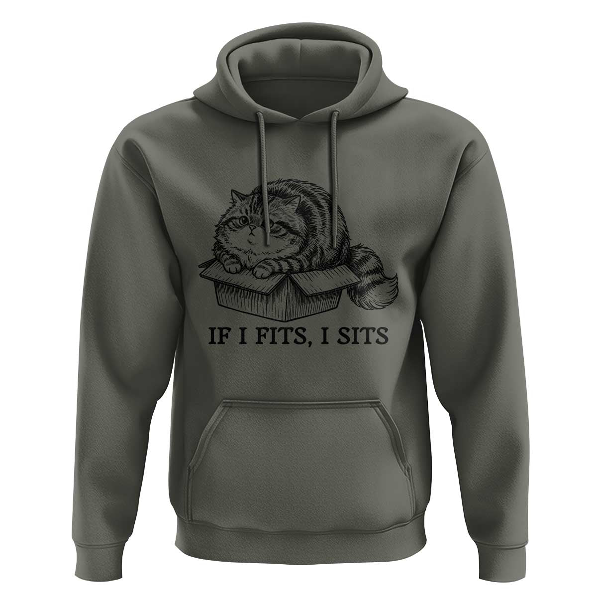 If I Fits I Sits Hoodie Chubby Kitty Funny Cat Lover Gift