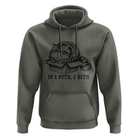 If I Fits I Sits Hoodie Chubby Kitty Funny Cat Lover Gift