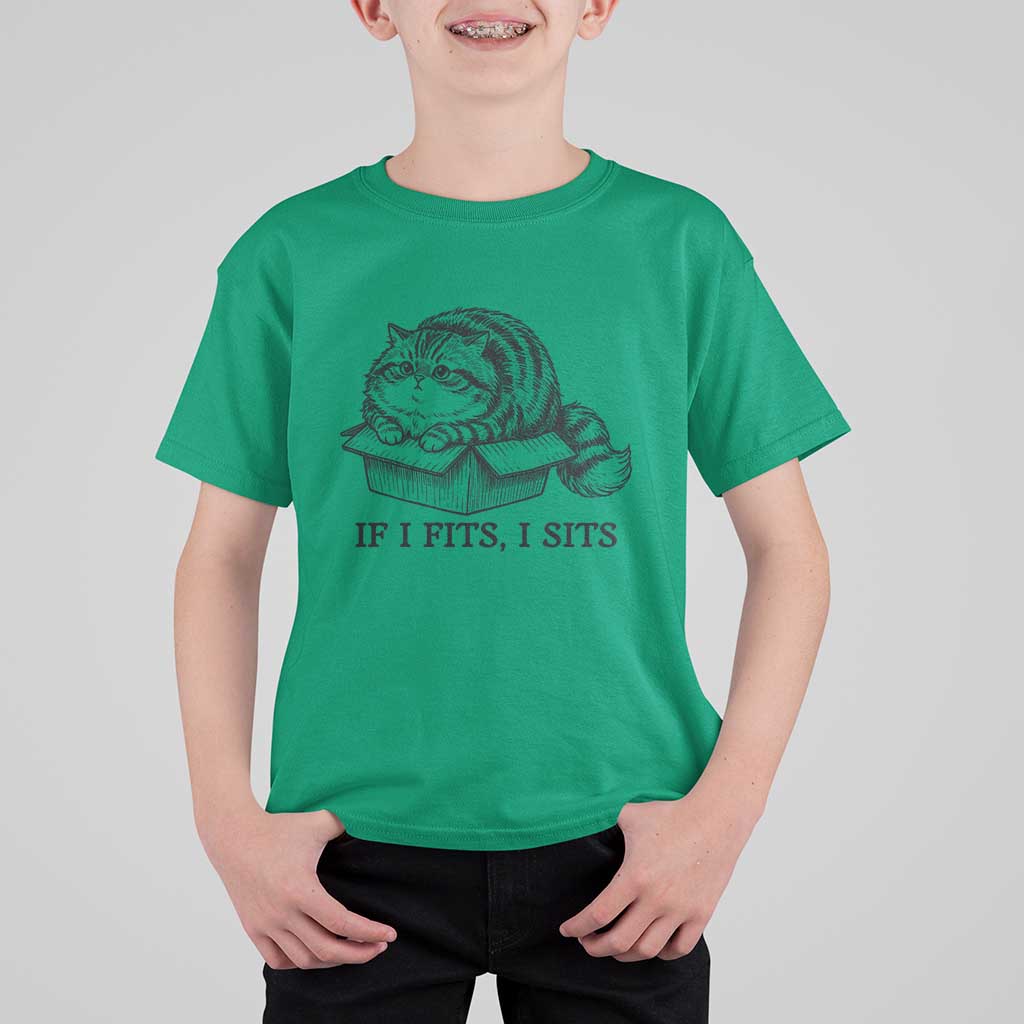 If I Fits I Sits T Shirt For Kid Chubby Kitty Funny Cat Lover Gift