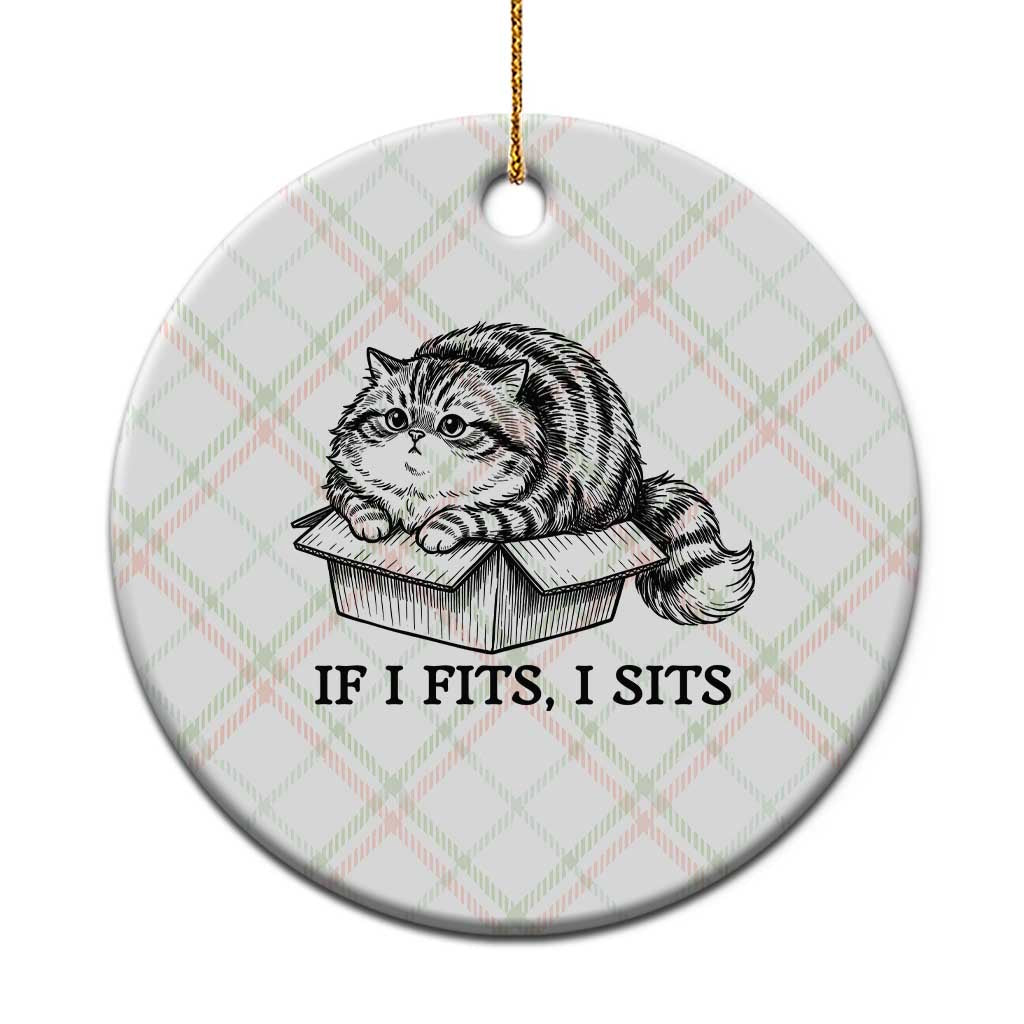 If I Fits I Sits Ceramic Ornament Chubby Kitty Funny Cat Lover Gift