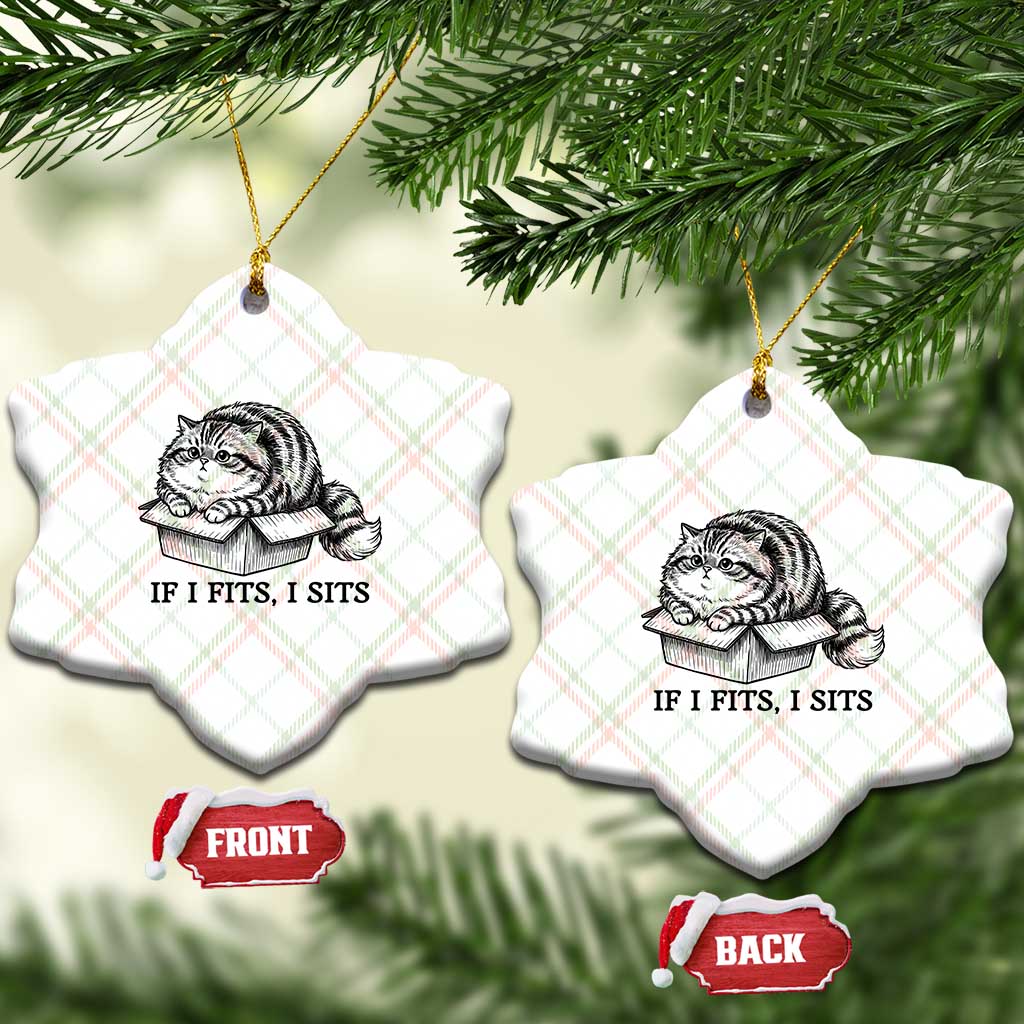 If I Fits I Sits Ceramic Ornament Chubby Kitty Funny Cat Lover Gift