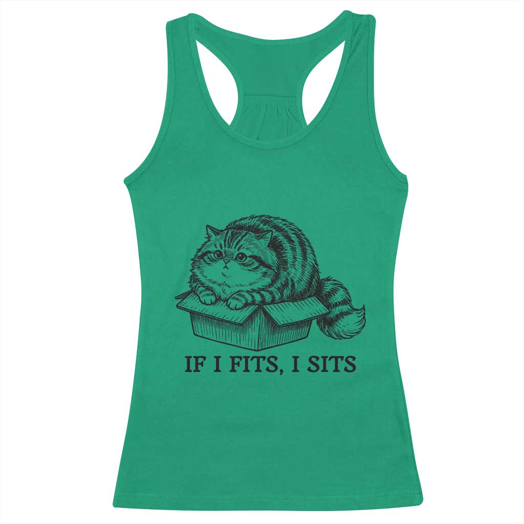If I Fits I Sits Racerback Tank Top Chubby Kitty Funny Cat Lover Gift