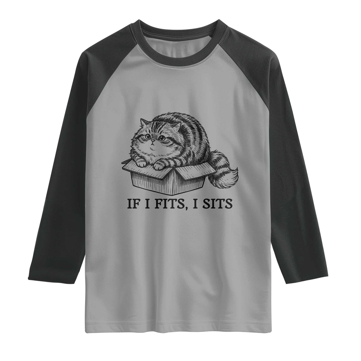If I Fits I Sits Raglan Shirt Chubby Kitty Funny Cat Lover Gift