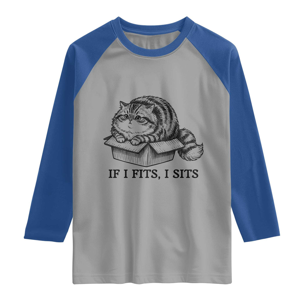 If I Fits I Sits Raglan Shirt Chubby Kitty Funny Cat Lover Gift