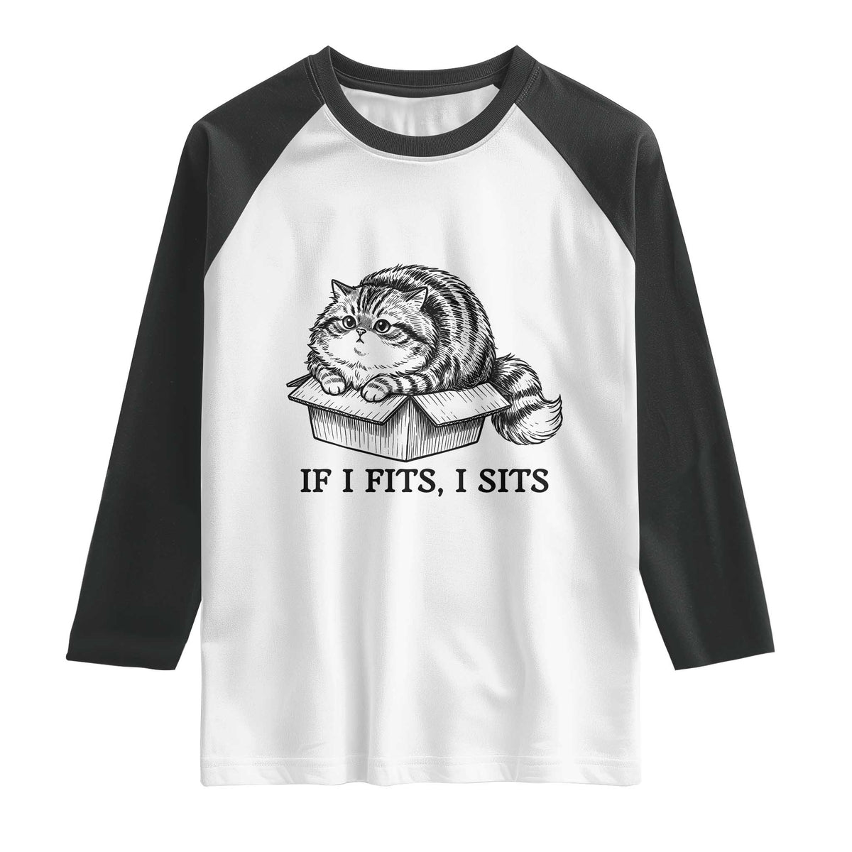 If I Fits I Sits Raglan Shirt Chubby Kitty Funny Cat Lover Gift